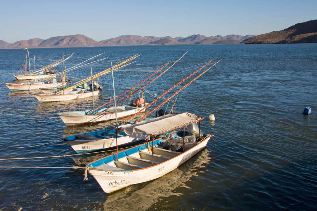 shutterstock_1572528850-1-1024x683 Héctor Álvarez da voz en cabildo a pescadores de Topolobampo que solicitan dragado en zona de anclaje de pangas.